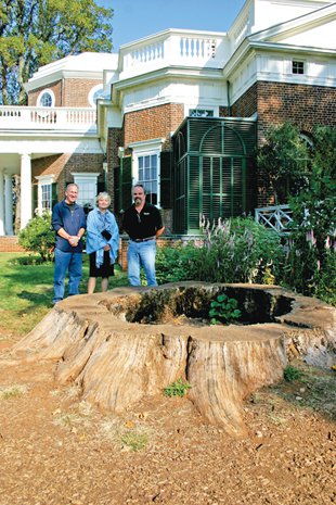 Regal Tree, Historic Sound?