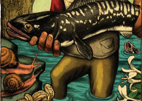 Let them eat … snails?