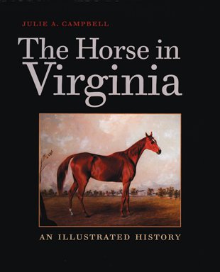 Equine Evolution