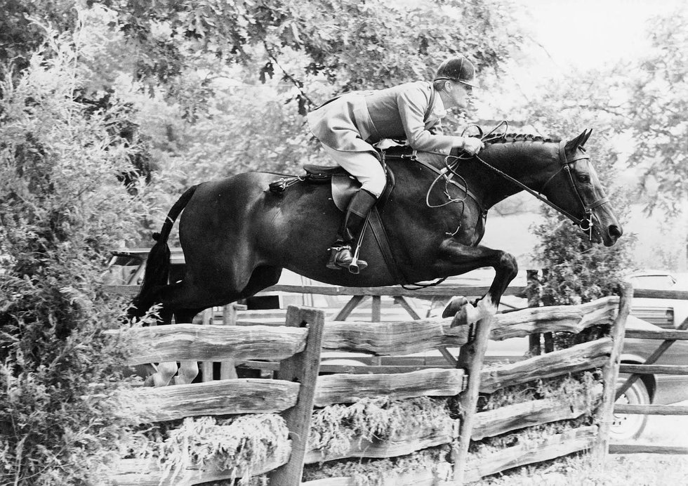 All the Pretty Horses