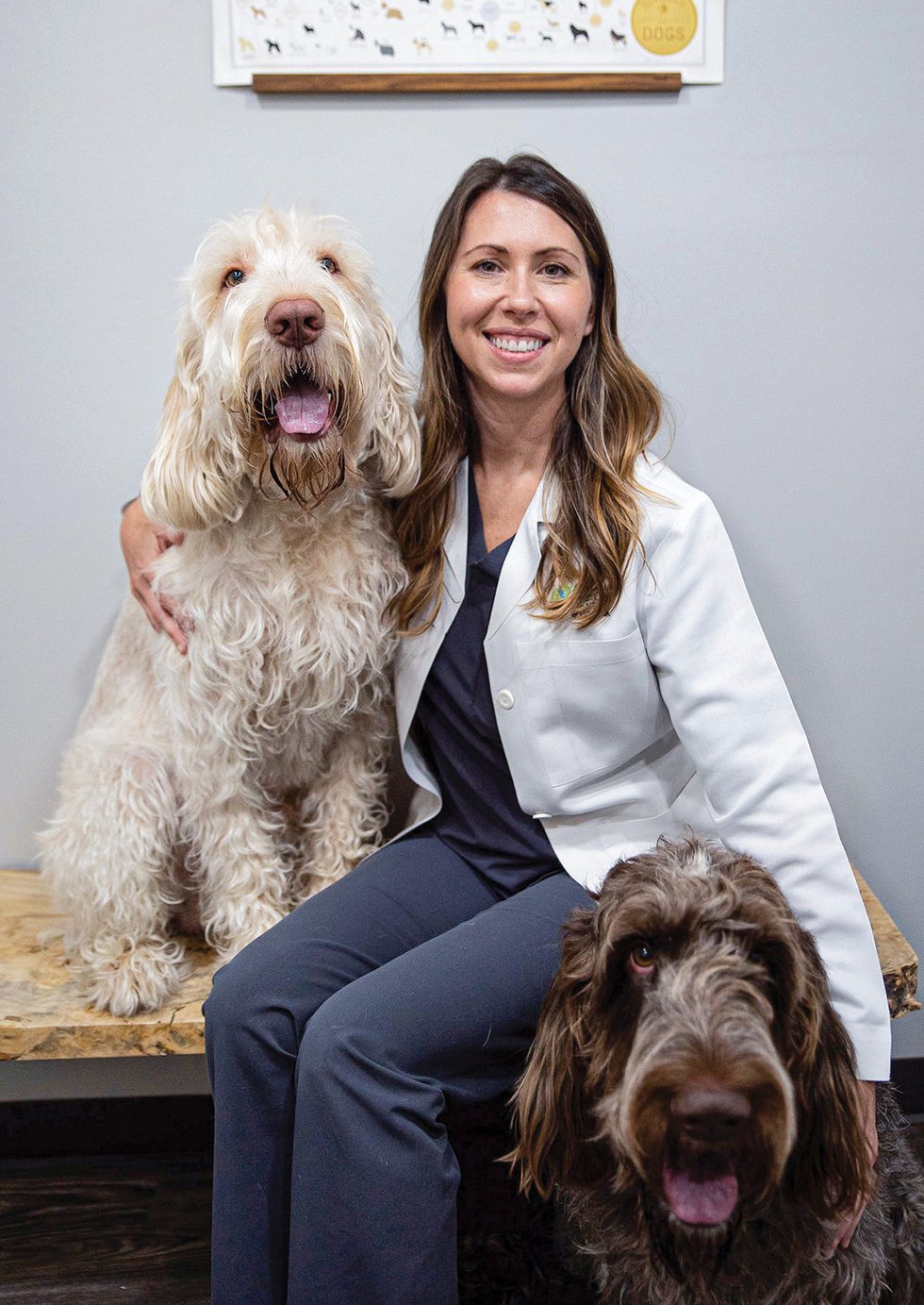 Animal Vision Center of Virginia