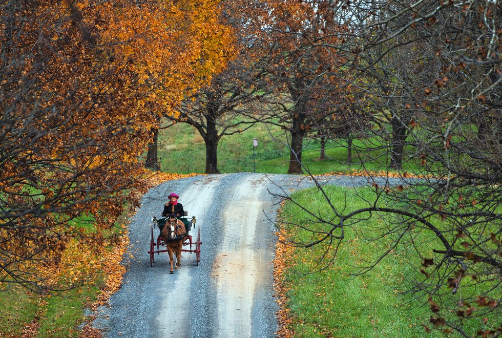 Virginia’s Historic Trails