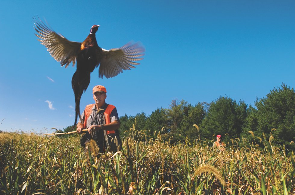 Hunter’s Harvest