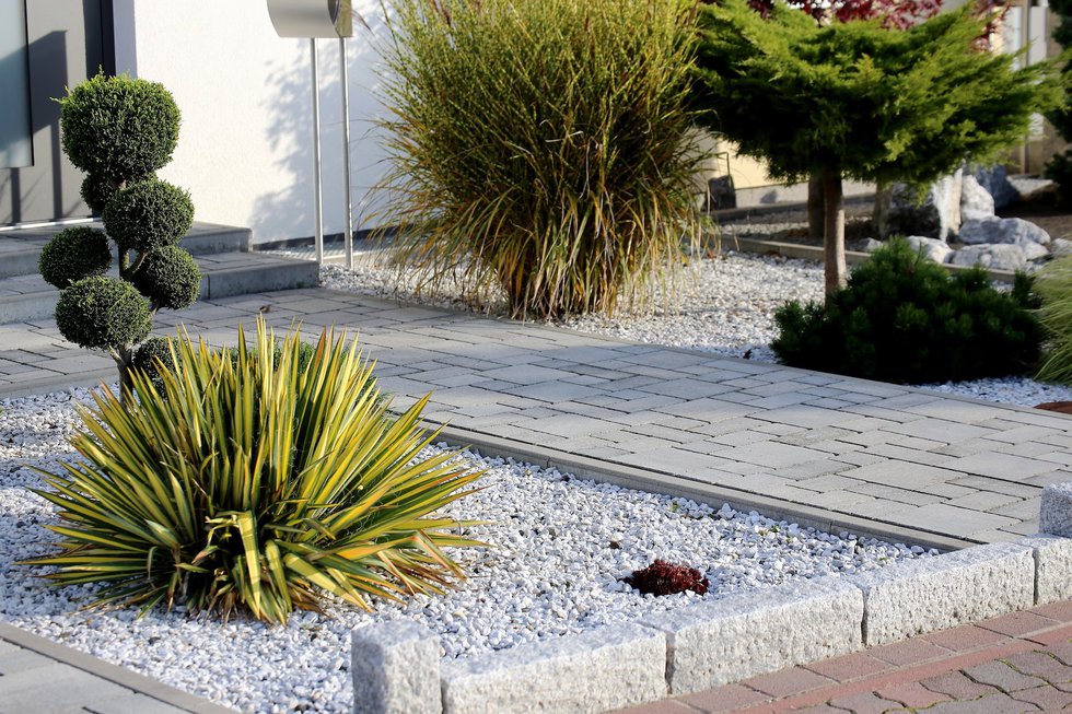 Xeriscaping