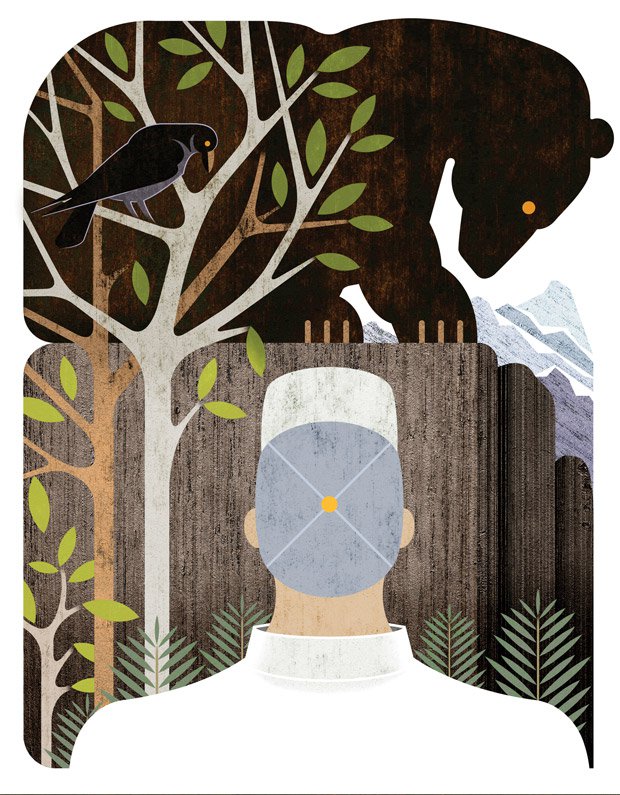 A Bear-Sized Adventure