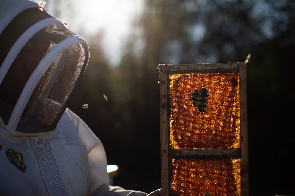 Bee Happy