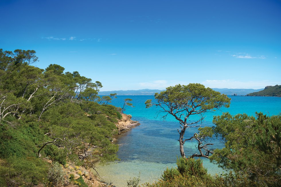 An Island In the Sea