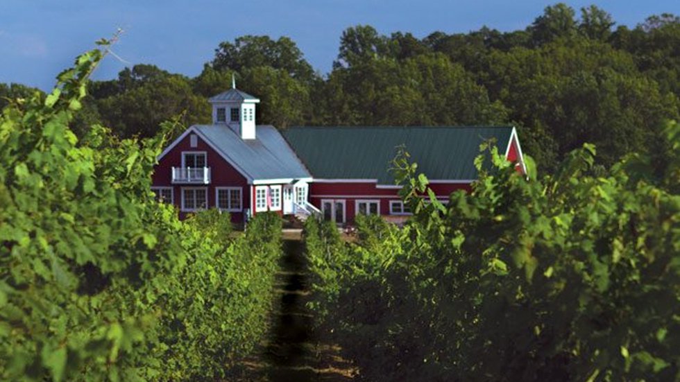 Camp for Grown-Ups
