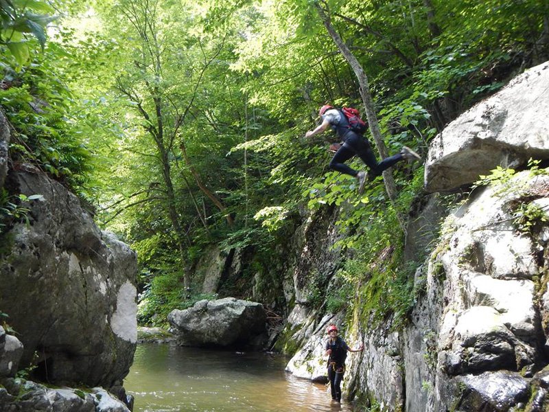 Free Falling