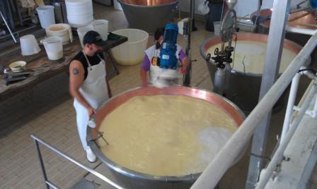 Northern Italy Food Tour