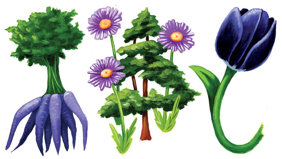 Dark, Spiky & Edible