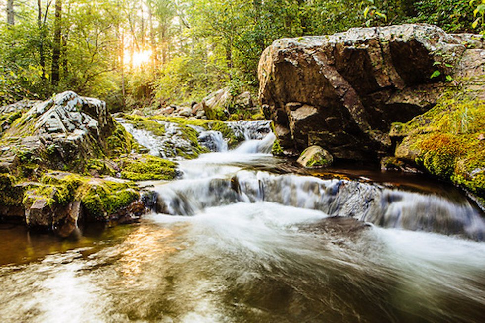 Back to Nature