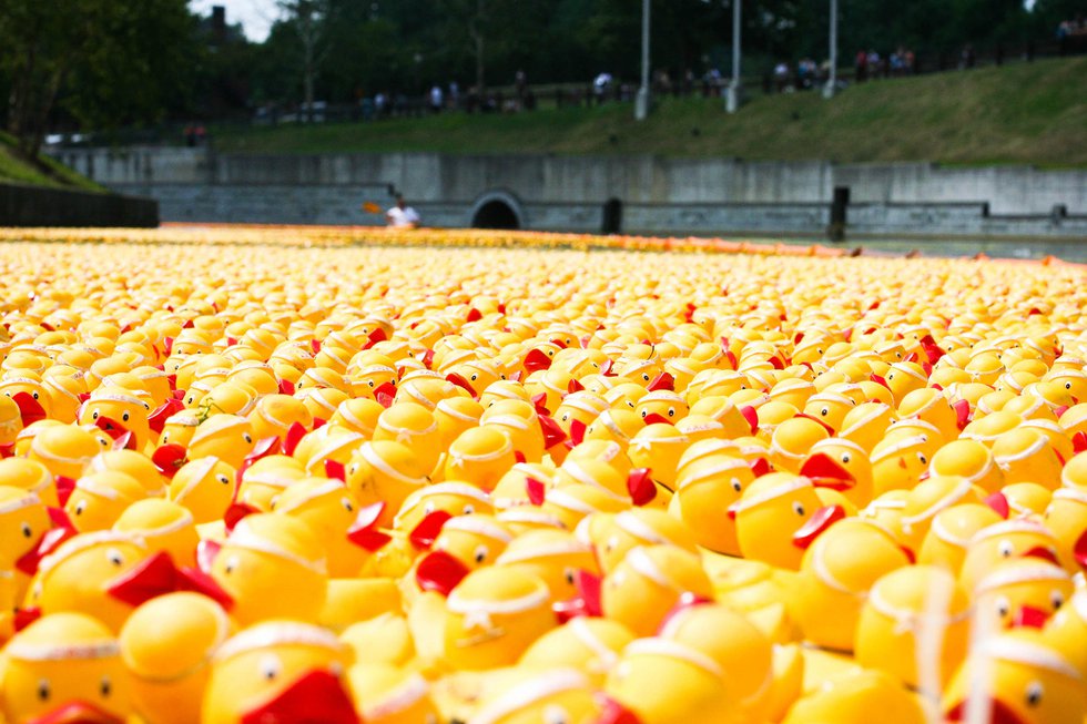 RVA Duck Race