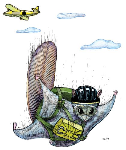 Secret Squirrel
