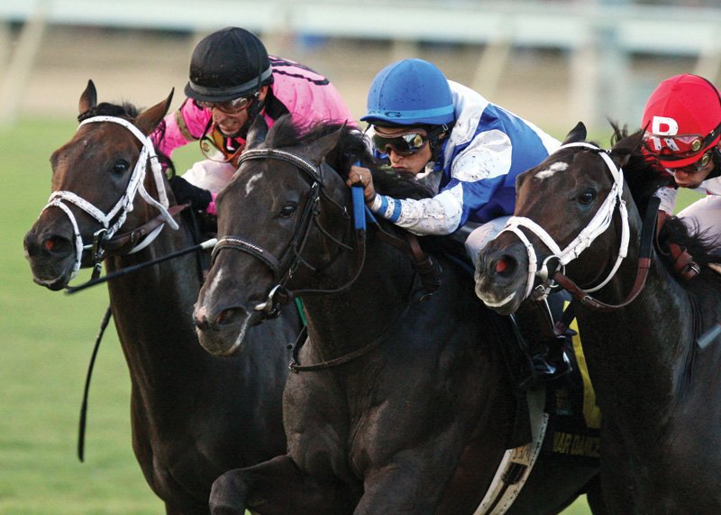 Off To The Races