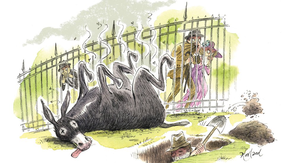 Long Gone Mule
