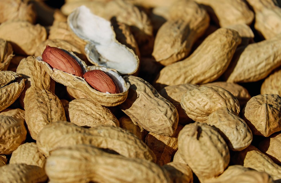 Go Nuts