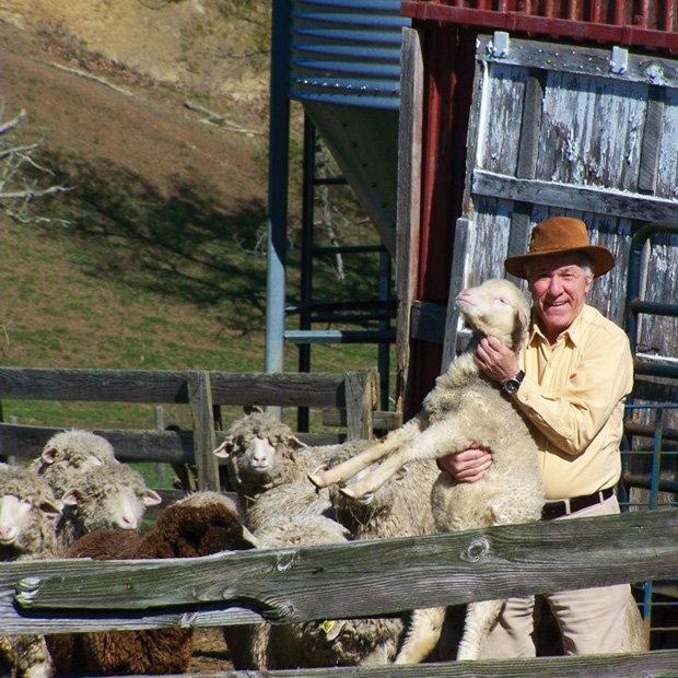 Made In Virginia  2013: Cestari Sheep and Wool, Churchville