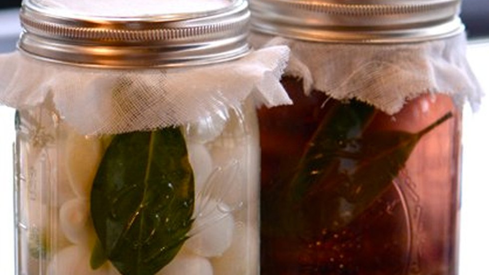 Pickled Perfection