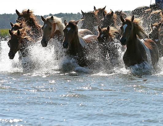 Horse Latitudes