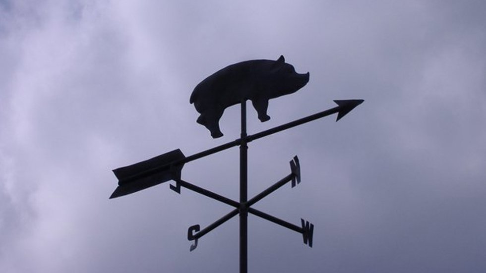 Pork Above Politics