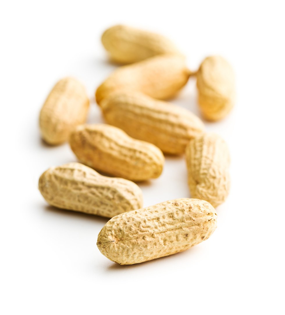 Taking a Bite Out of Food Allergies