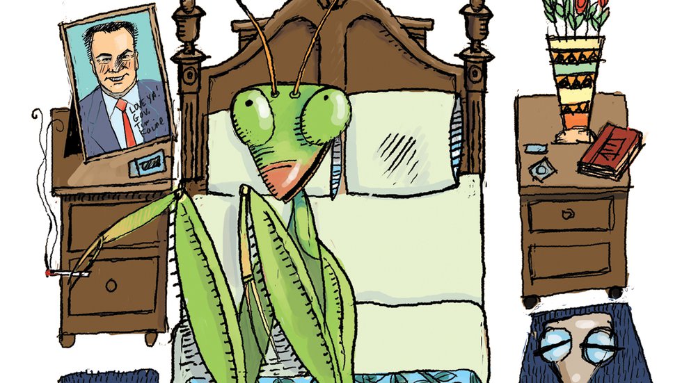 State of the Mantis