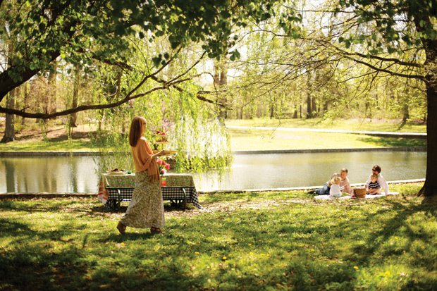A Summer to Savor