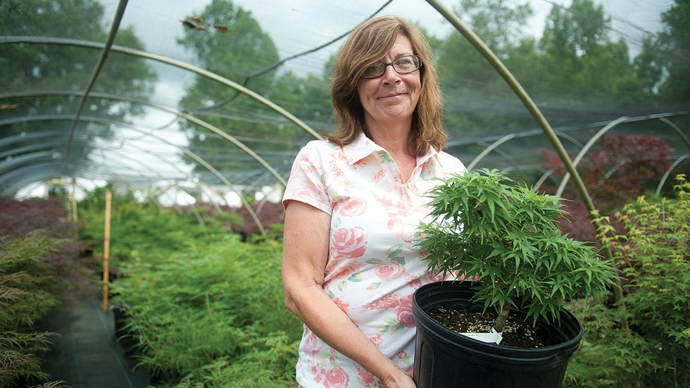 The Constant Gardener