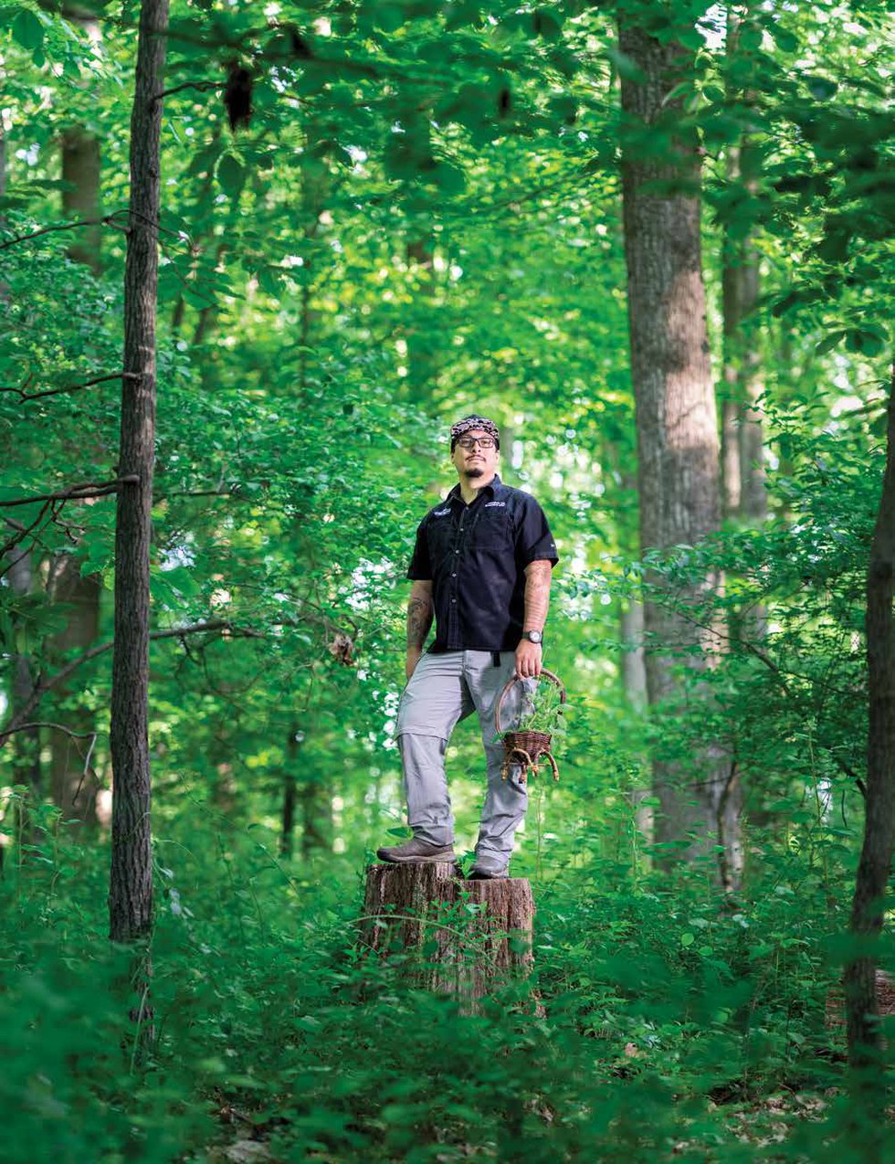 Into the Woods