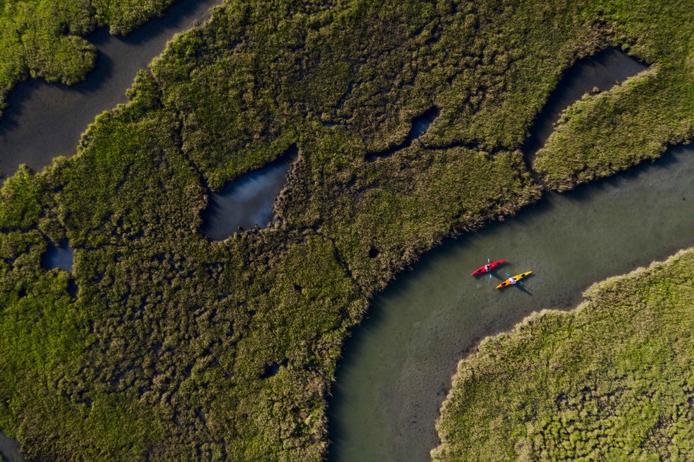 Canoeing, Kayaking, and Paddle Boarding in Virginia’s River Realm