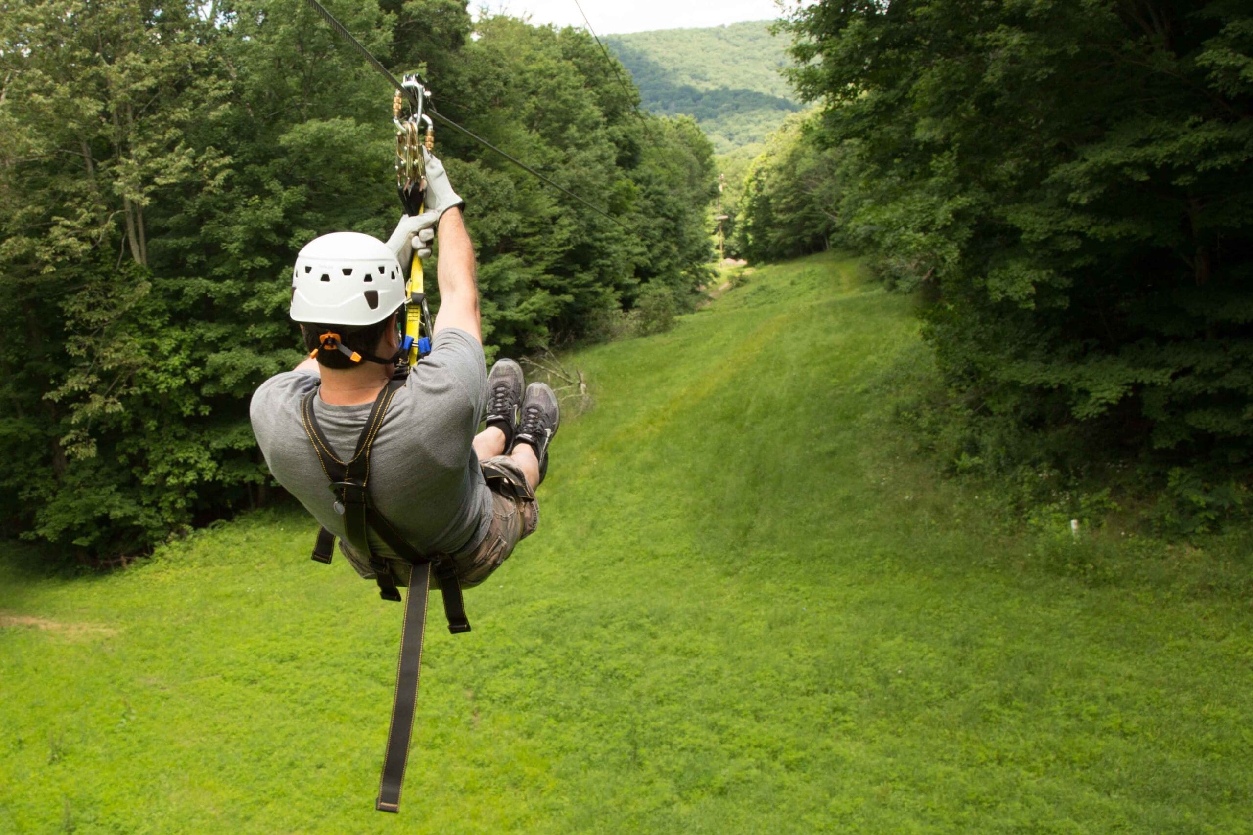 Treetop tour brings incredible views in exhilarating adventures