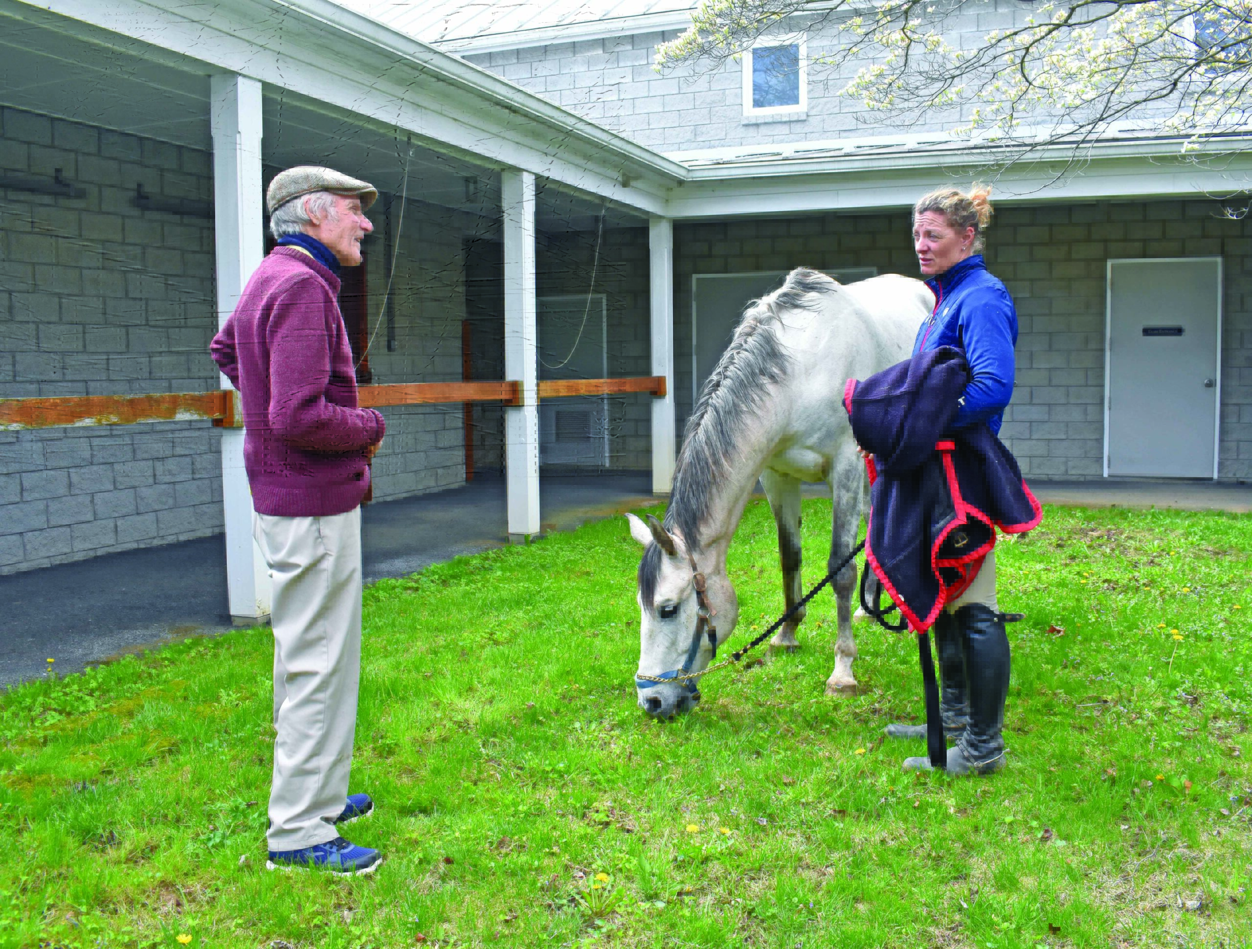 Loudoun County’s equine community finds sanctuary