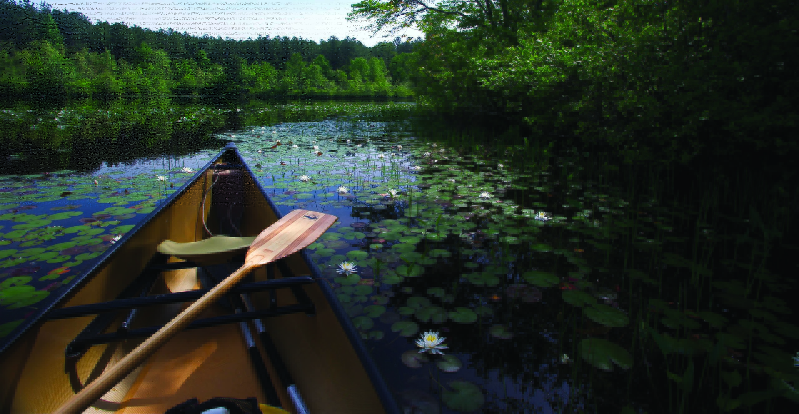 Exploring Capt. John Smith’s Waterways Around the Chesapeake