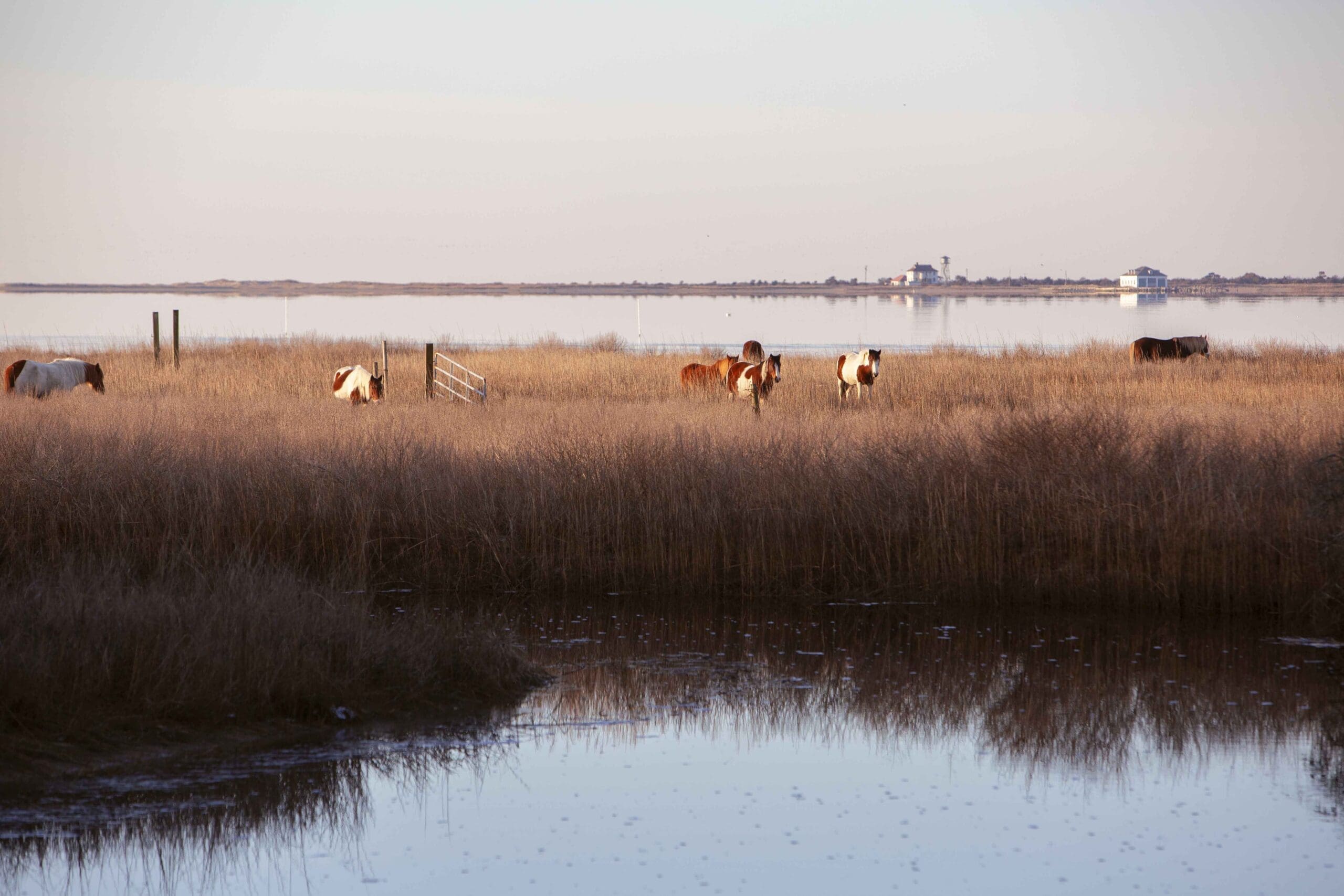 Dust off your shoes and enjoy these walking spots in Eastern Virginia