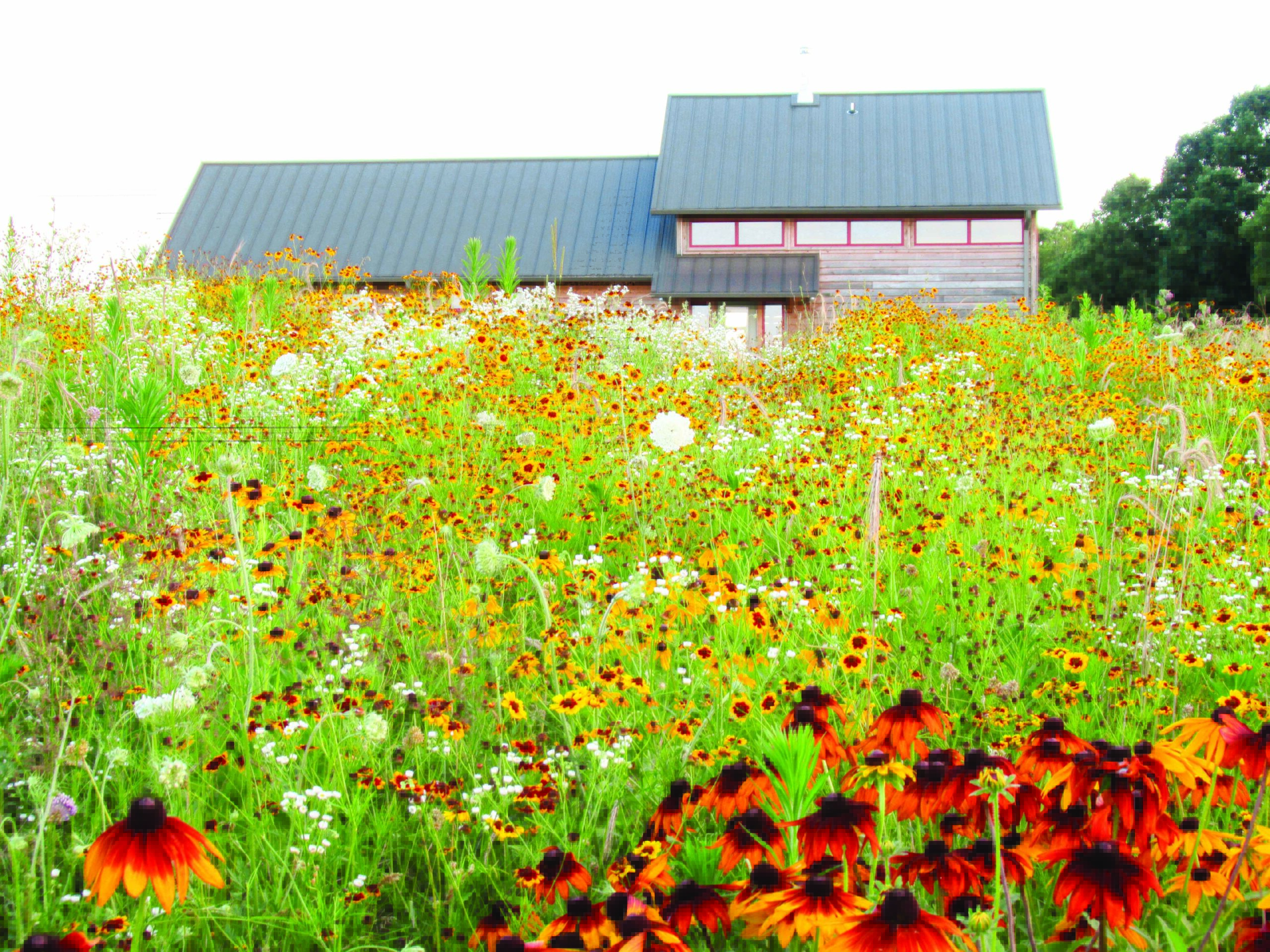 Floyd County farm is a world-class sanctuary for honeybees