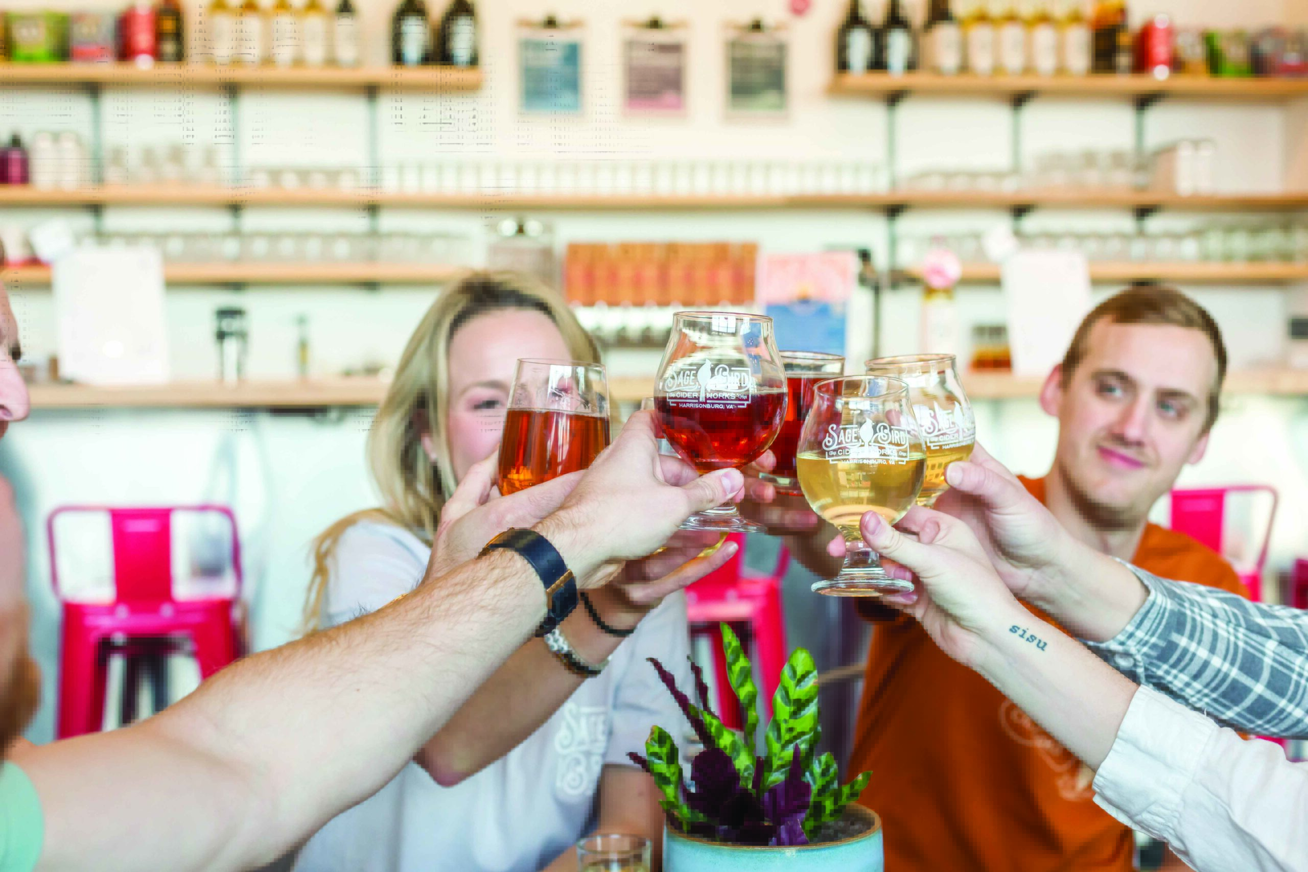 Sage Bird Ciderworks crafts some of the state’s best