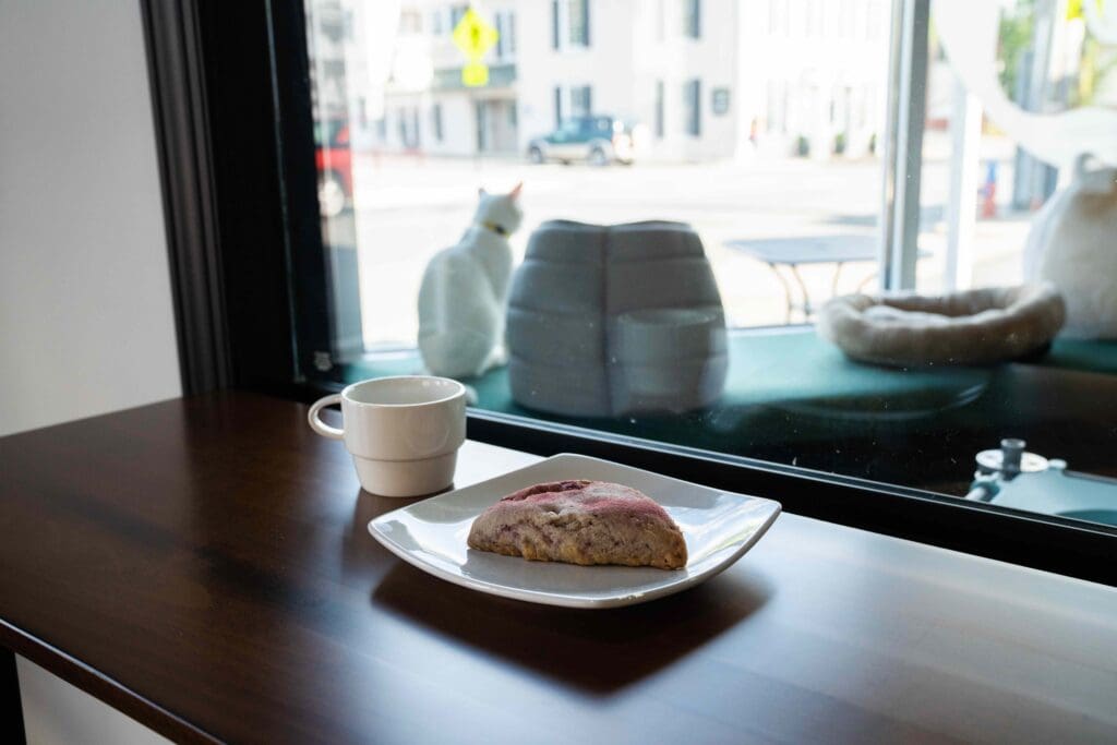 Mug and pastry by the cat room