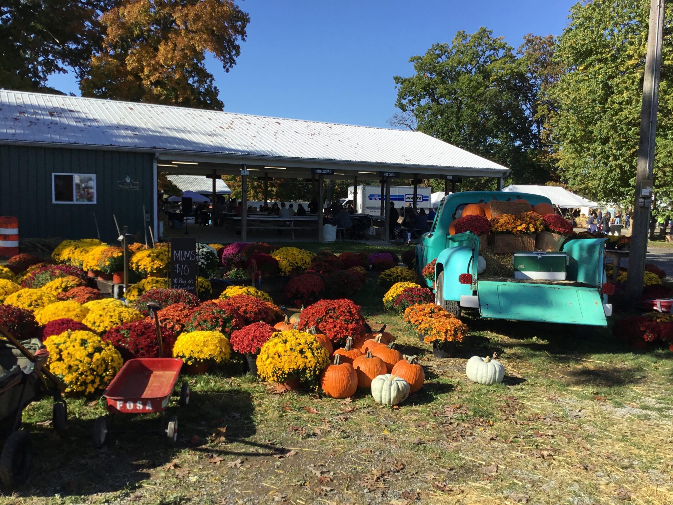 Treasure hunt at Lucketts Fall Market