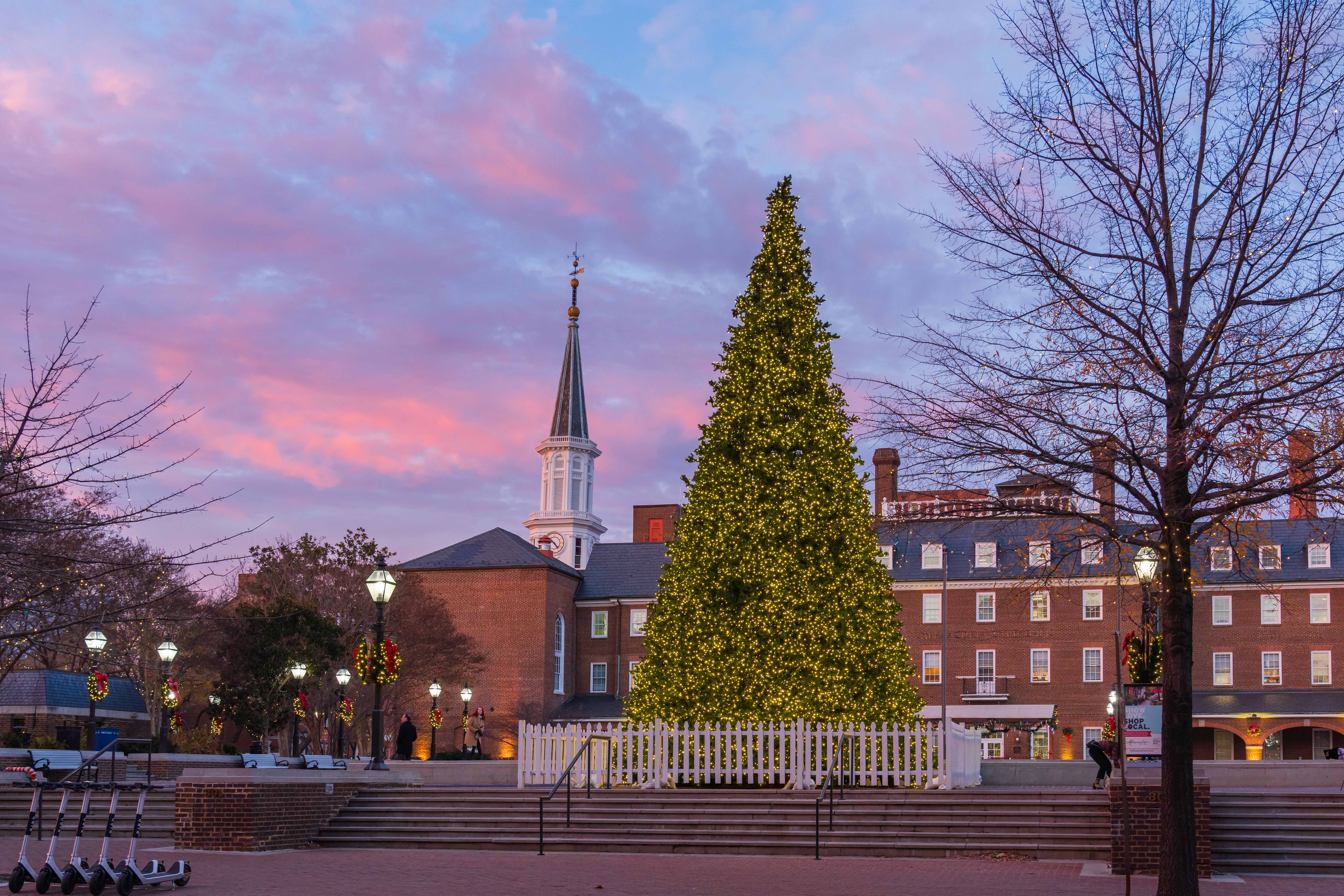 Christmas in NoVa