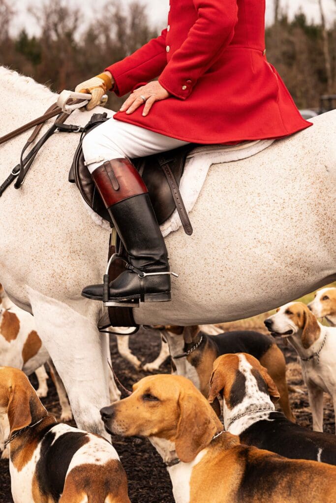 Horse rider surrounded by dogs