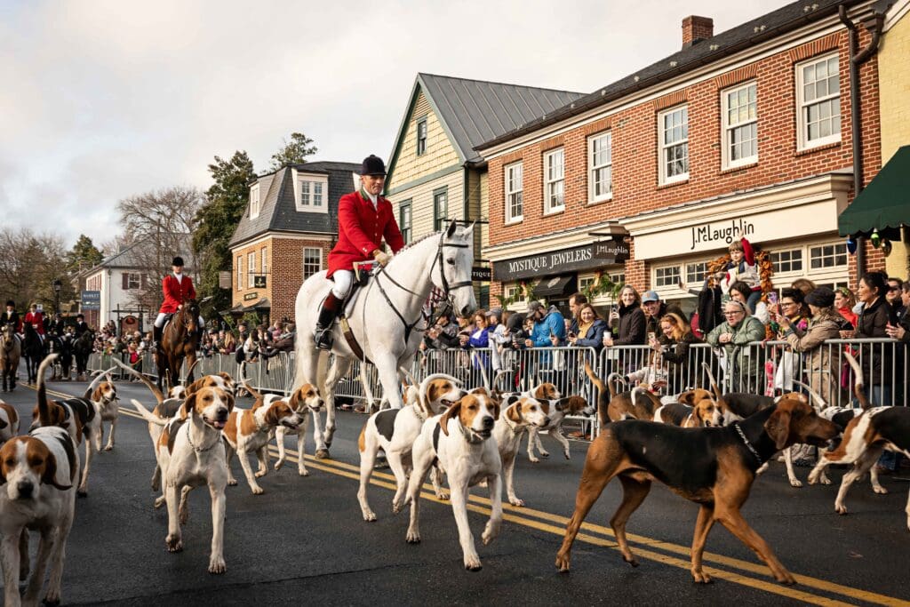 Christmas parade with huntmaster and hounds