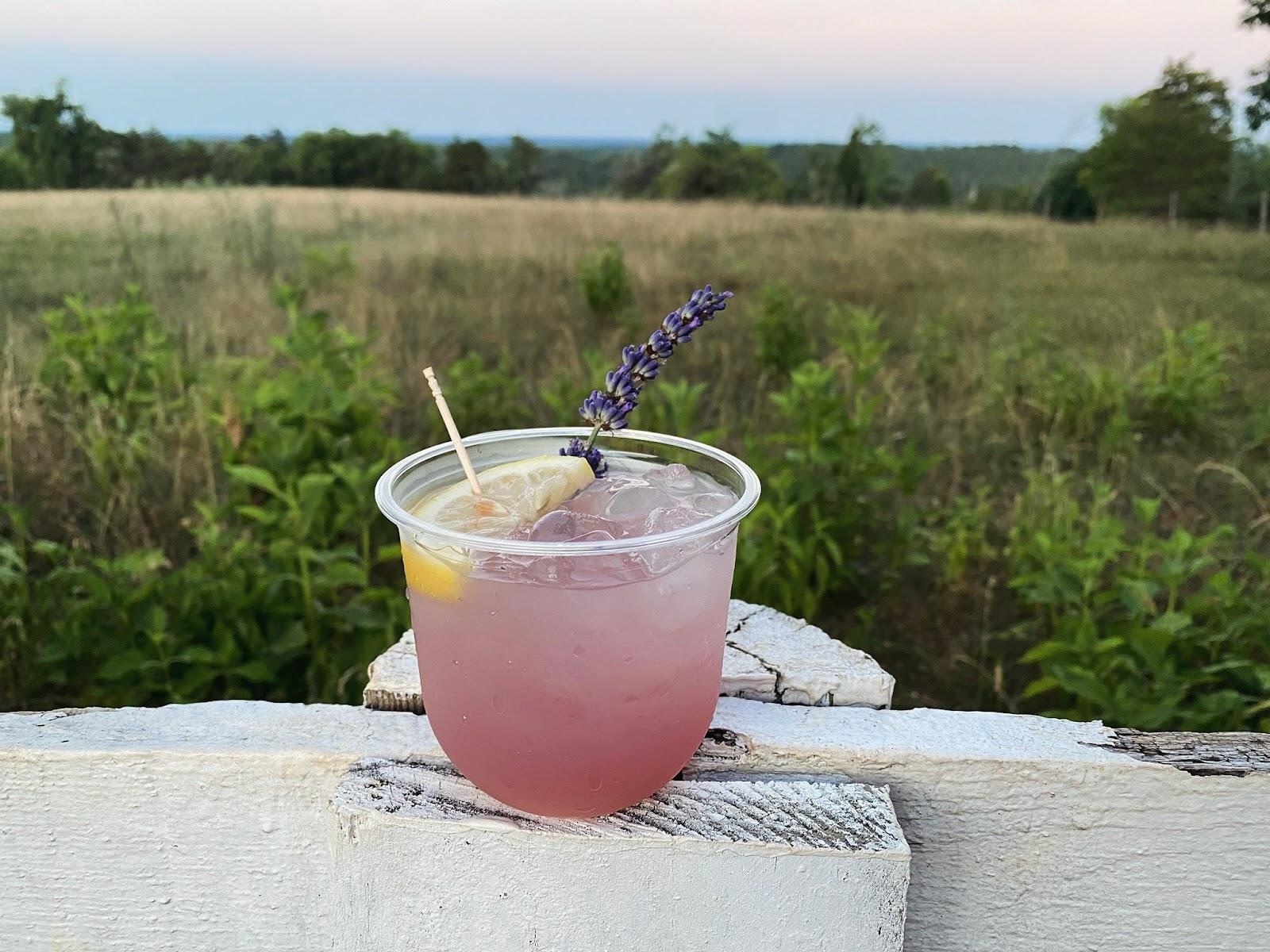 Fun Garnishes to Top Off Your Cocktail