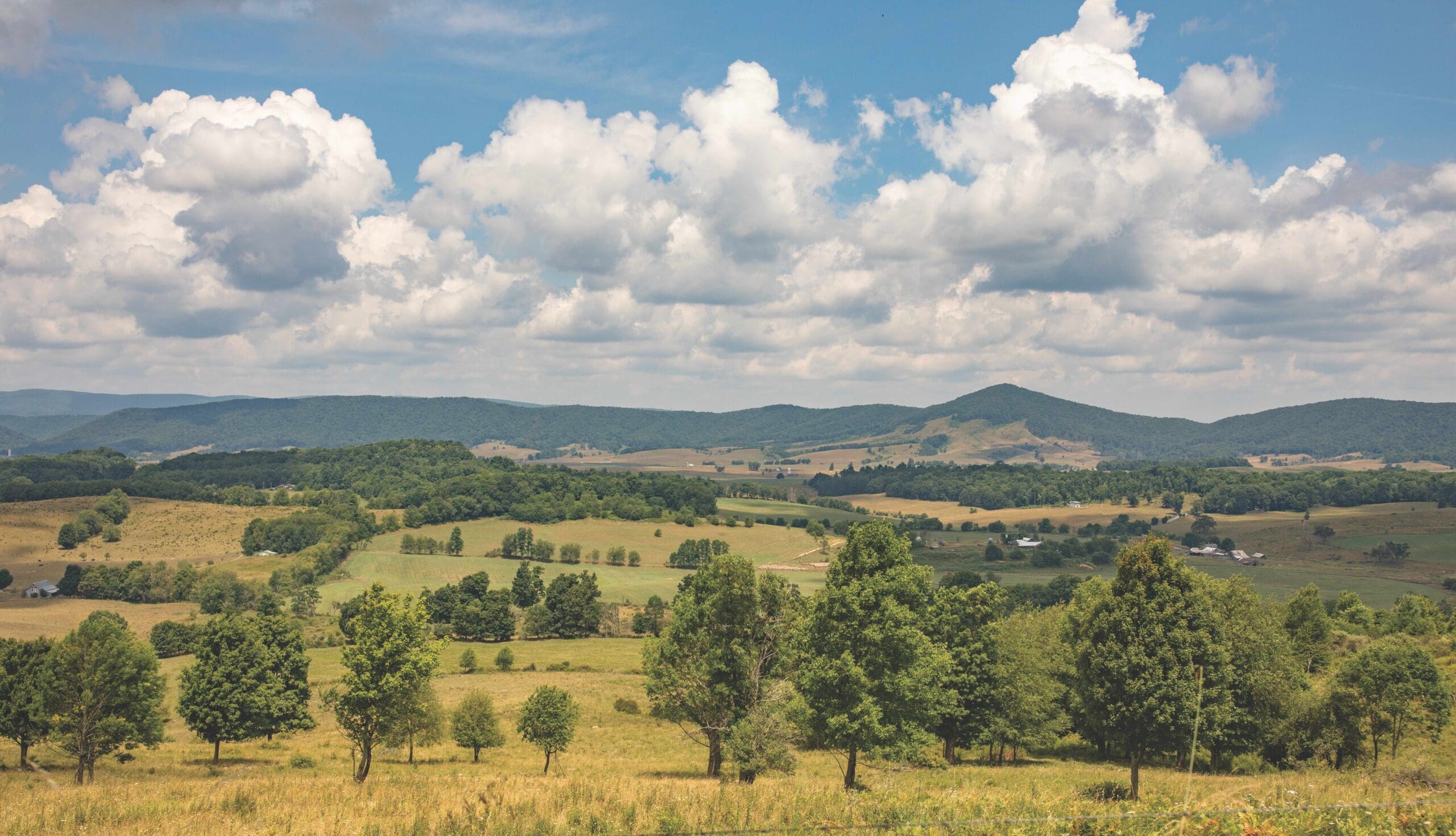 Grassroots Efforts are Reclaiming Tazewell