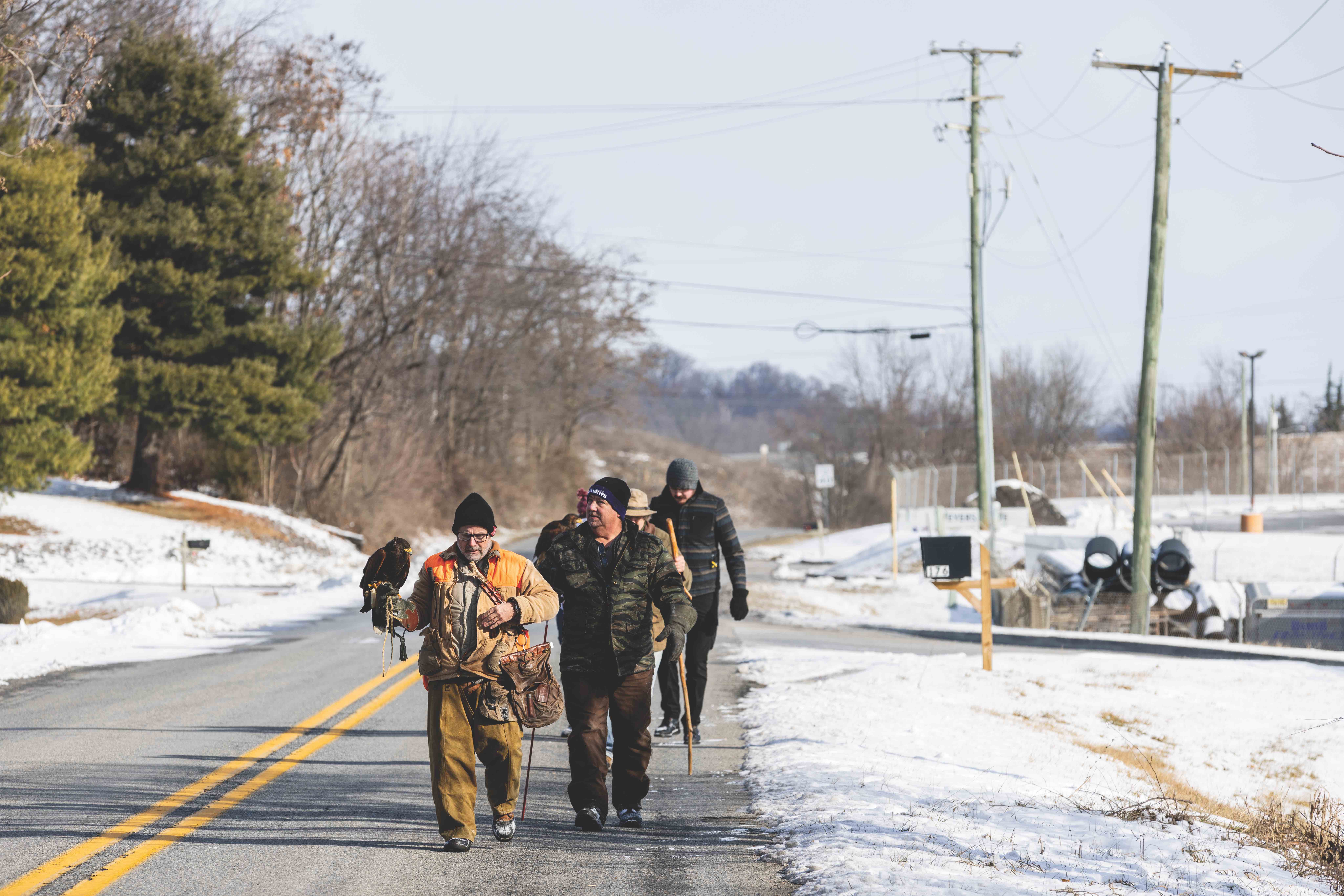 About the Virginia Falconers’ Association