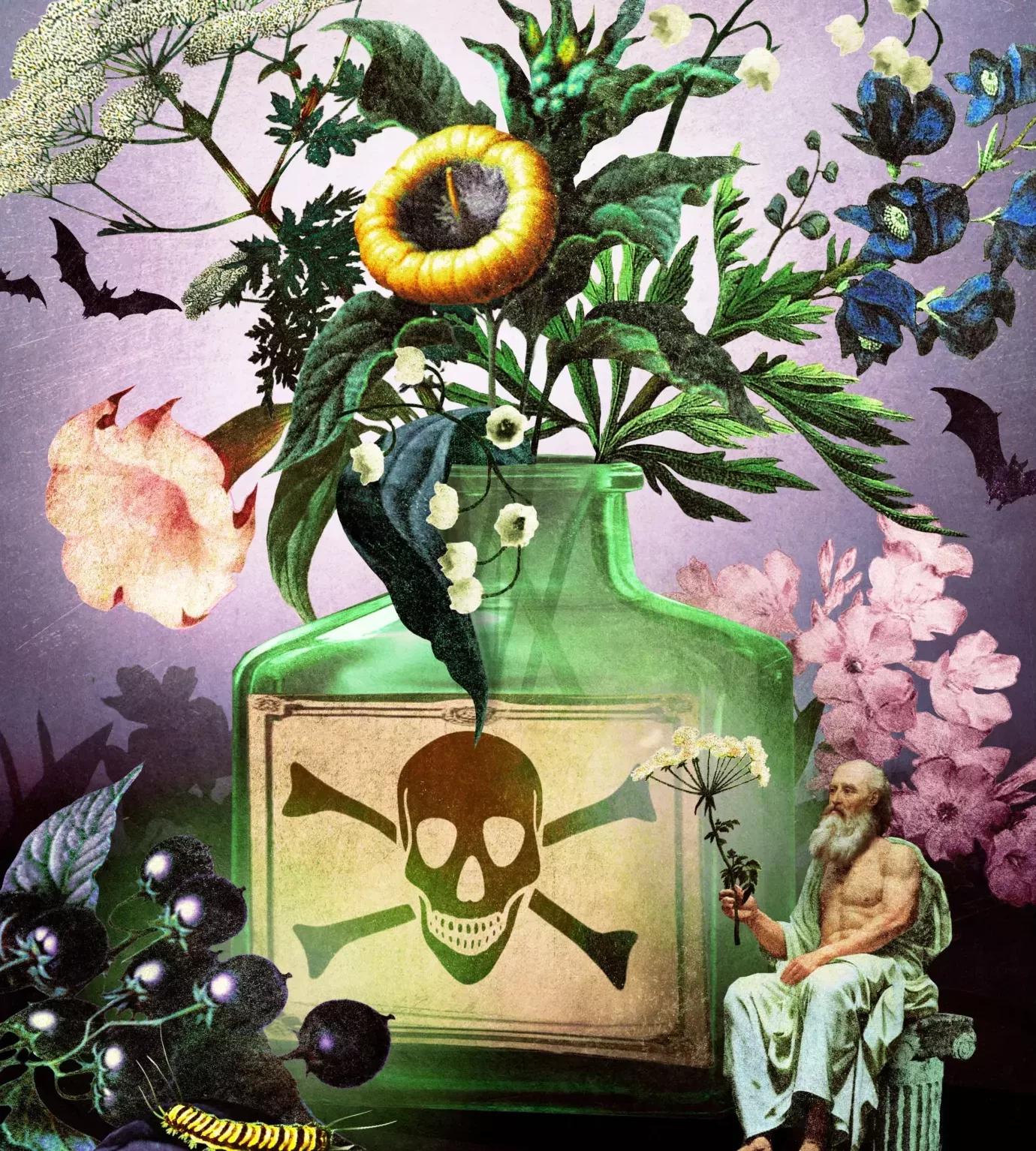Discover Virginia’s Most Dangerous Plants with The Socrates Project