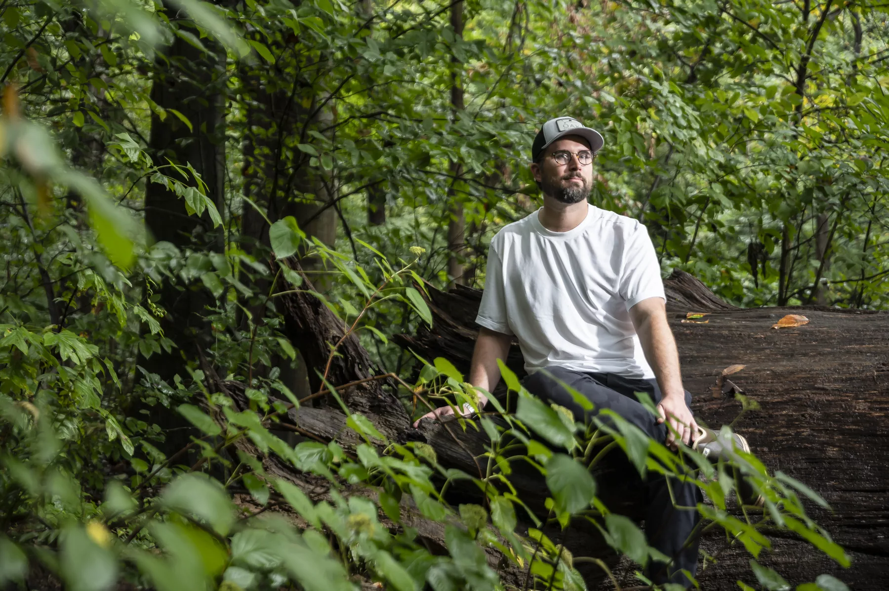 Rediscovering the Magic of Foraging