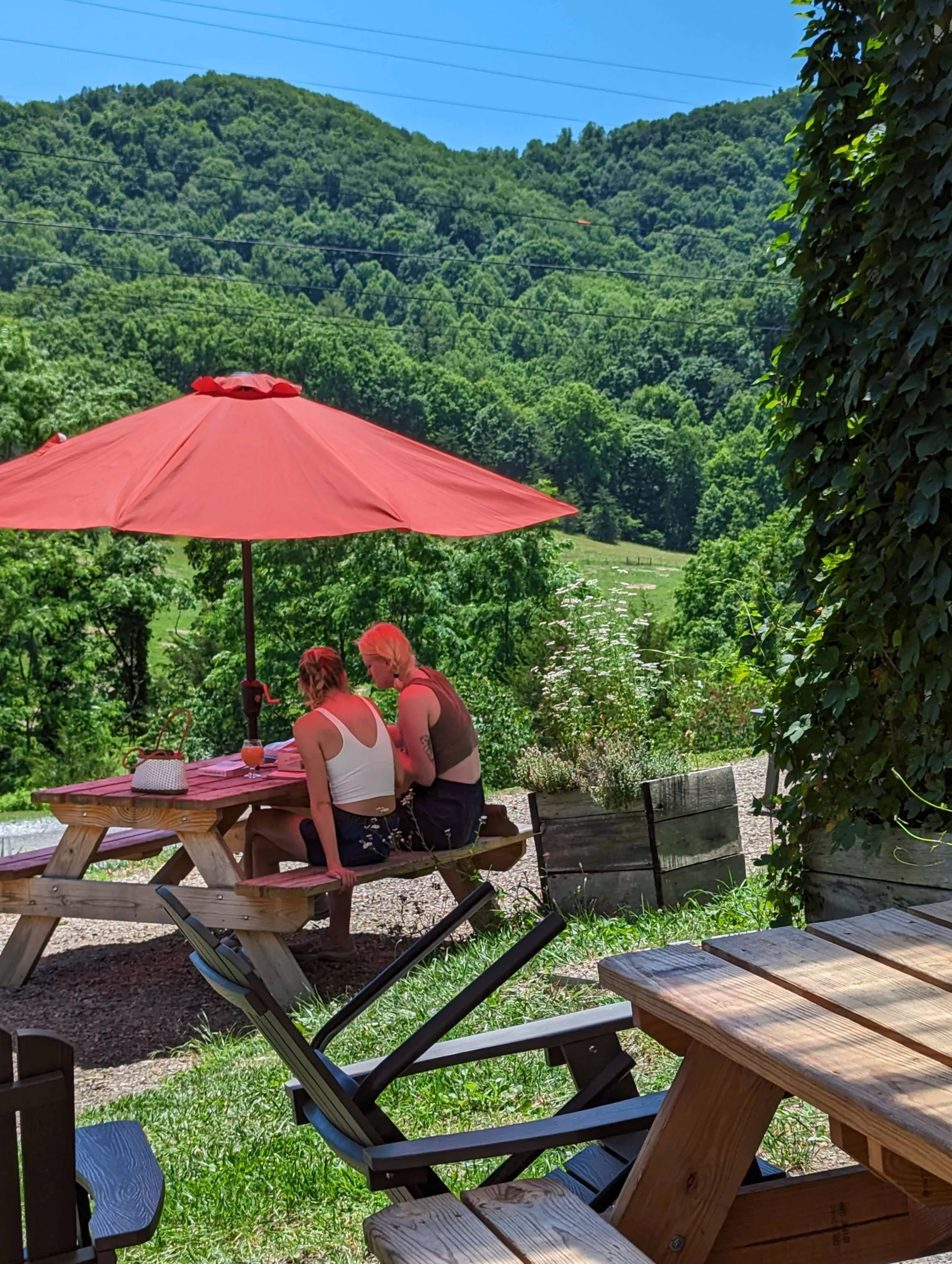 Slow Sips at Solstice Farm Brewery