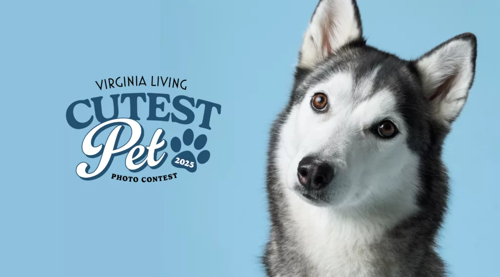 Virginia's Cutest Pet graphic

