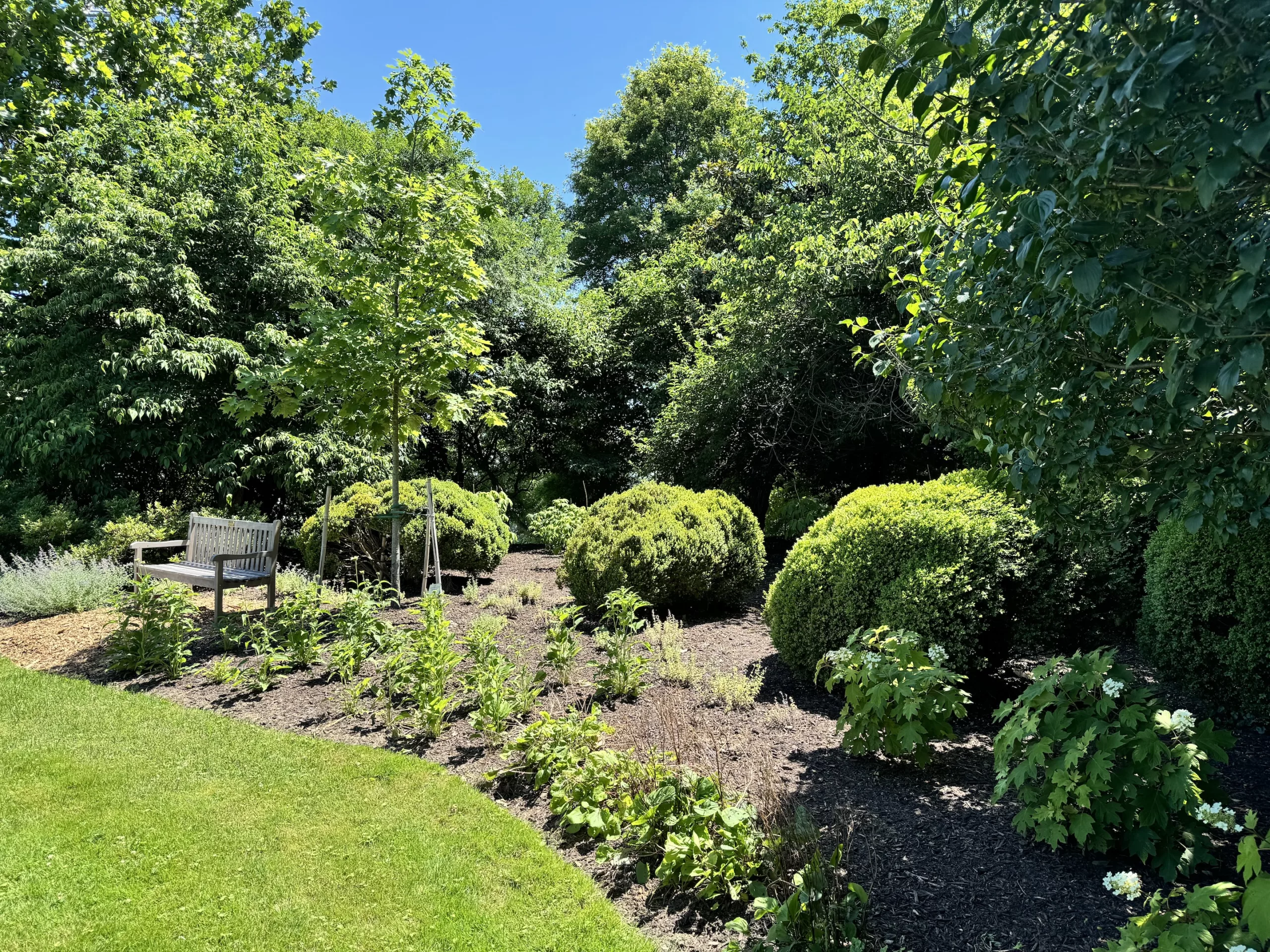 Inside American Horticultural Society’s Memorial Garden